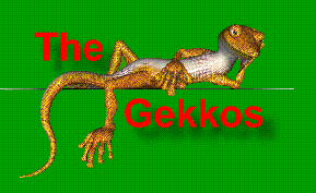 The-Gekkos